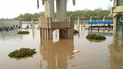 Washington Harbour Flood