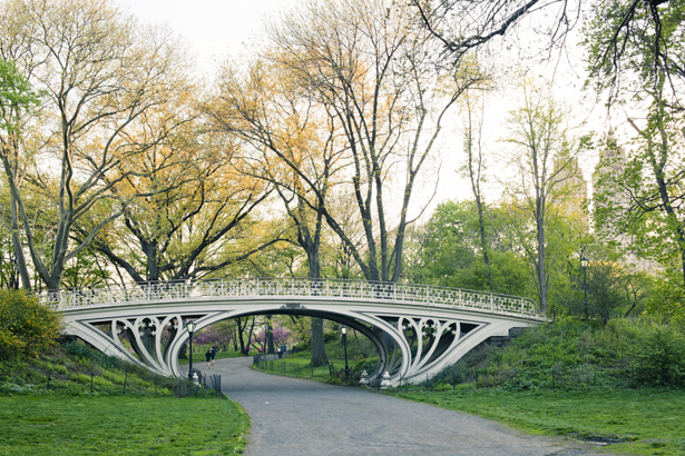 Цветущие парки - Central Park