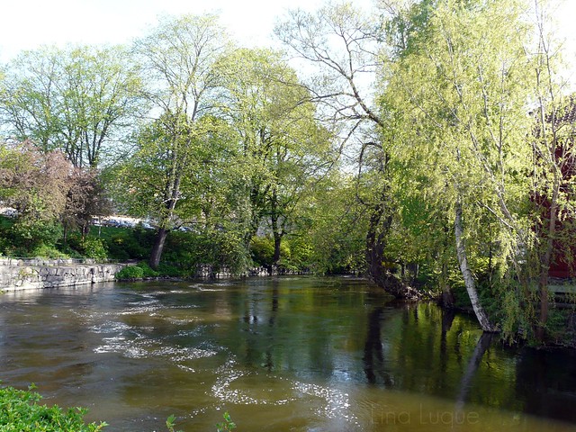 Río NyKöping