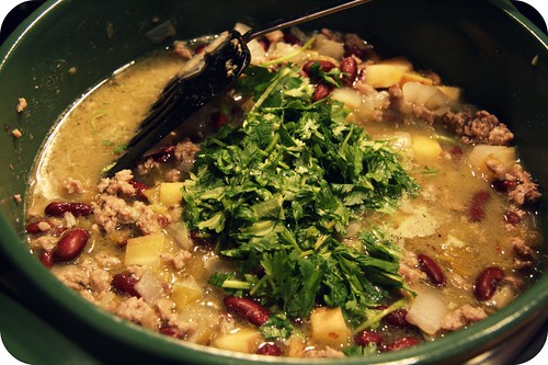chile verde stew in pot