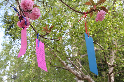 Third Grade Cherry Blossom Poetry Festival