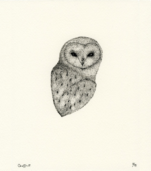 claire-barn-owl5