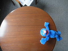 Grover posing on a wooden table