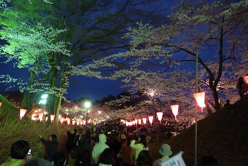 観桜会の夜
