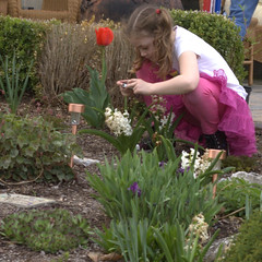 Megan Photographing flowers
