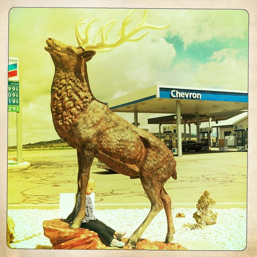 Fillmore - Chevron Deer
