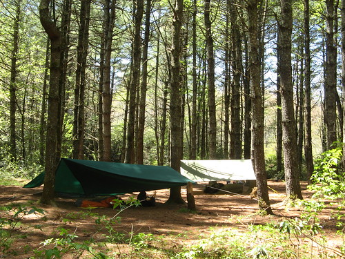 Campsite in Panthertown Valley