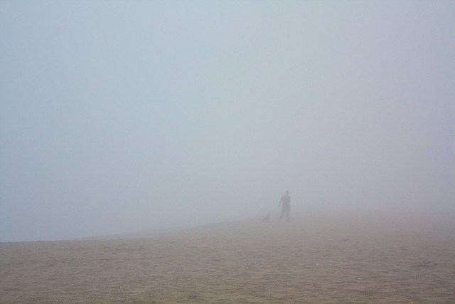 Fog-005.jpg