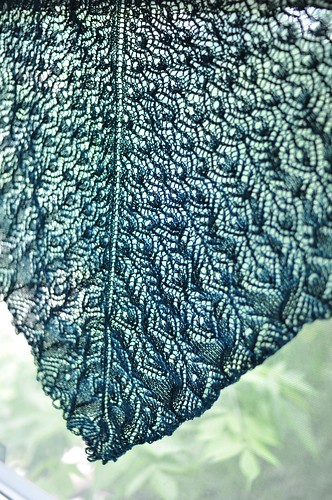 peacock feathers, pre blocking