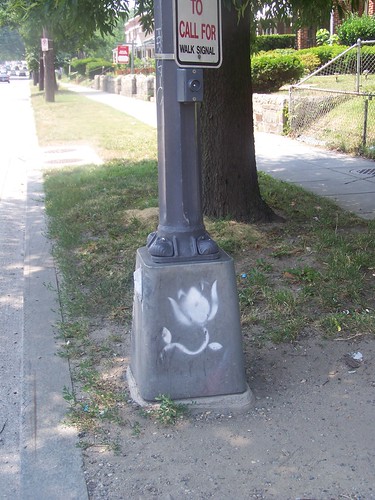 Graffiti flower on the base of a streetlight, North Capitol Street NE by rllayman
