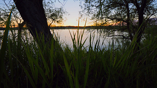 Day 174 - Sunset over Blue Heron Lake by Tim Bungert