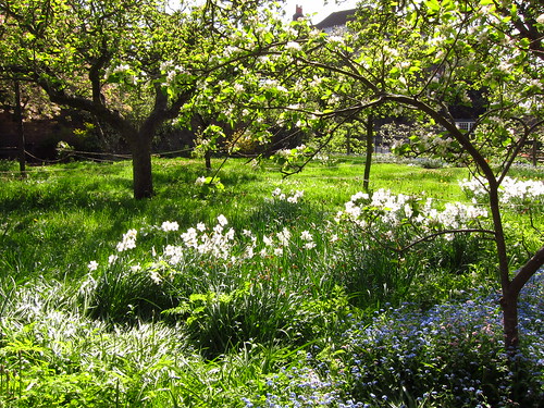 The Orchard Garden at Fenton House in Spring