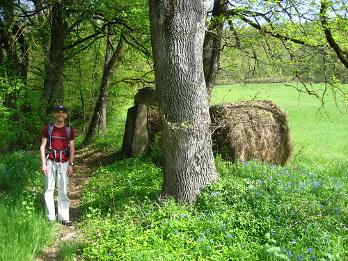 Graham by the meadow and flowers
