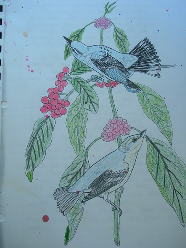 Nature Journal Ideas -Coloring book