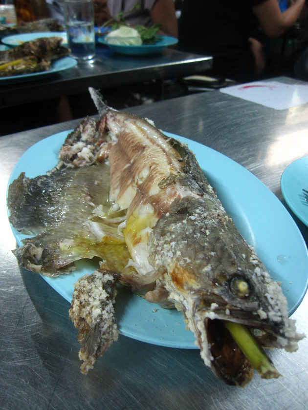 grilled fish (pla pao, ปลาเผา)