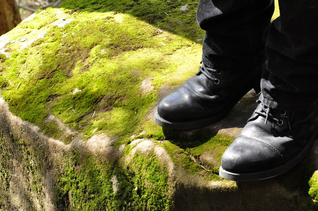 moss and boots
