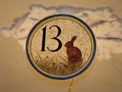 No 13 - rabbit