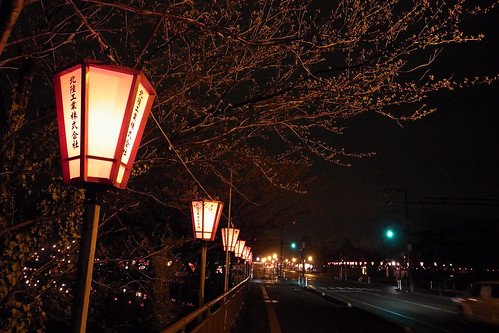 高田公園の夜