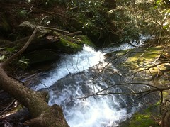  Second Cascade of Falls on Last Branch of Tickanetley Creek 