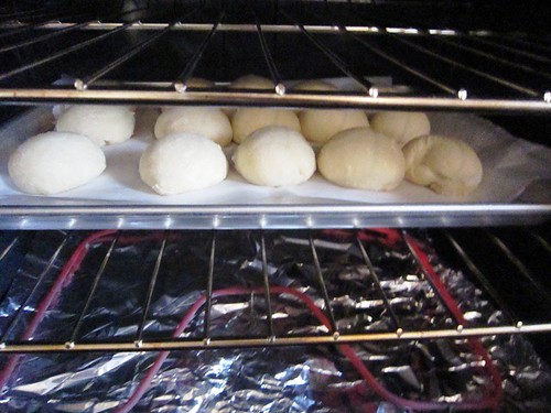 Yeast rolls baking