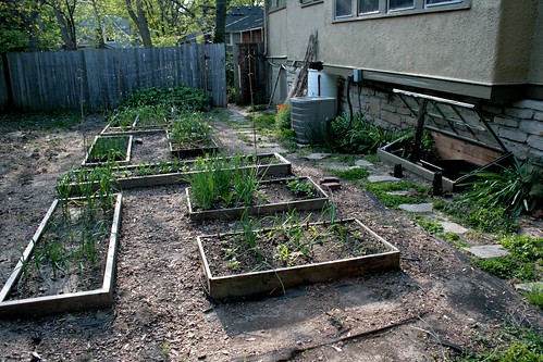 Vegetable Garden, East Side