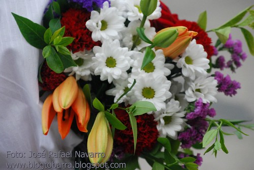 Ofrenda de Flores 2011
