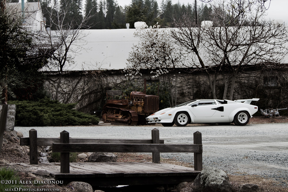 stunning white Lamborghini Countach