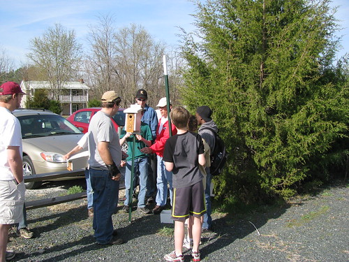 Boy Scouts install bluebird boxes at High Bridge Trail State Park.