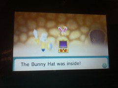 Bunny Hat in Find Mii