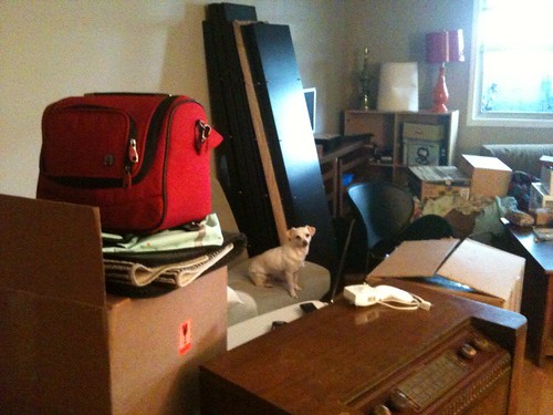 Princess Sparkle supervises the unpacking process.