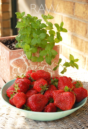 Organic strawberries from Charles City, VA