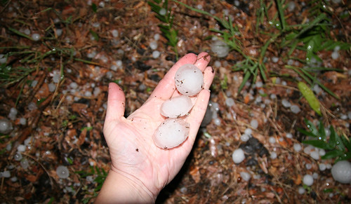 Some pieces of the hail that fell in Pratt Kansas June 16.