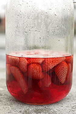 jordgubbar i vodka