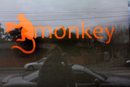 monkey in the window