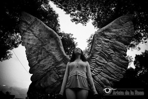 wings of desire