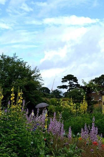 A Typical English Garden