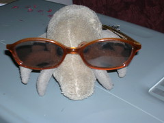 Dust Mite wears sunglasses at night