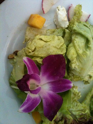 Mango & Goat Cheese Salad @ Dosa