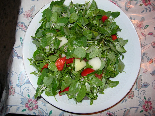 Gemischter Salat mit viel Melde