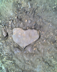 Heart shaped rock <3