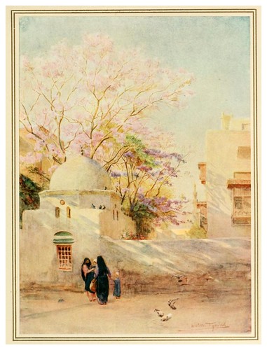 012-El arbol de Jacaranda-An artist in Egypt (1912)-Walter Tyndale