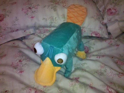 Perry the Platypus by drwhogrl