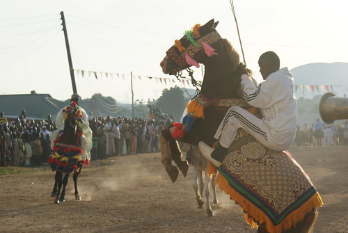 Image result for Fulbe horses