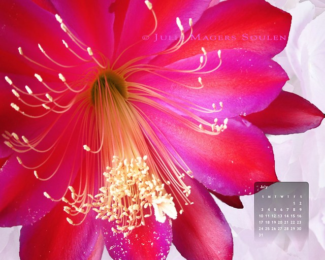 07-11 Red Fireworks Flower Wallpaper Calendar 1280x1024