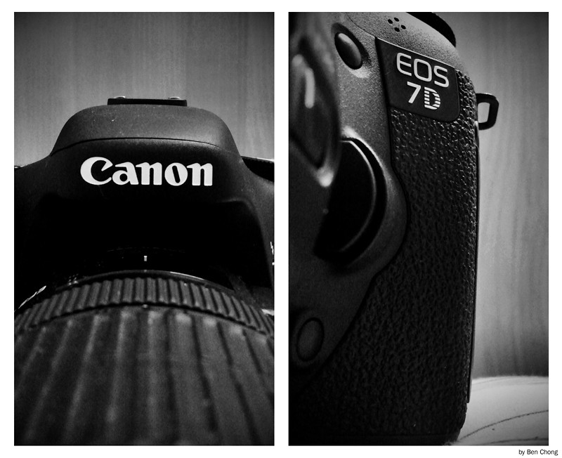 Canon + 7D