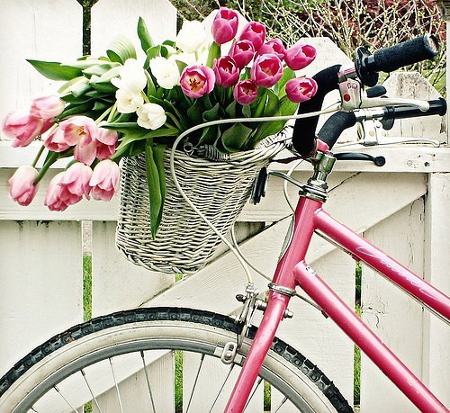 vintage bike with flowers
