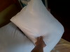 Dakimakura Body Pillow Grade A : MOE MAX