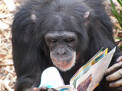 Galatea reading a magazine by pangorillapongo