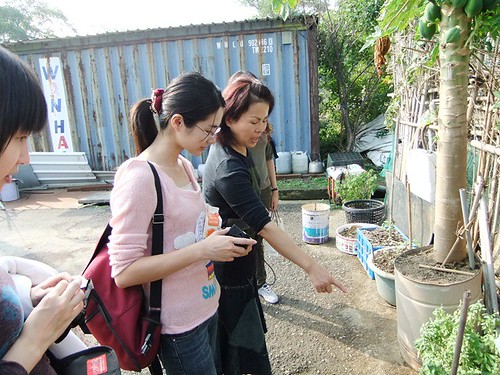 秀琴姐帶我們到被保住的菜園，跟我們介紹她剛種下的盆栽 ，拍攝日期11月21日