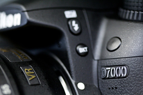 Nikon D7000 vs D300s vs D90 macro lens